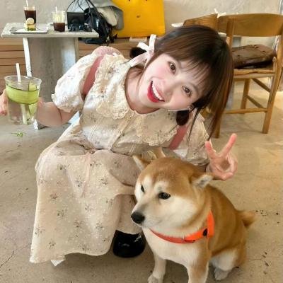 来自普莱恩维尔的女孩